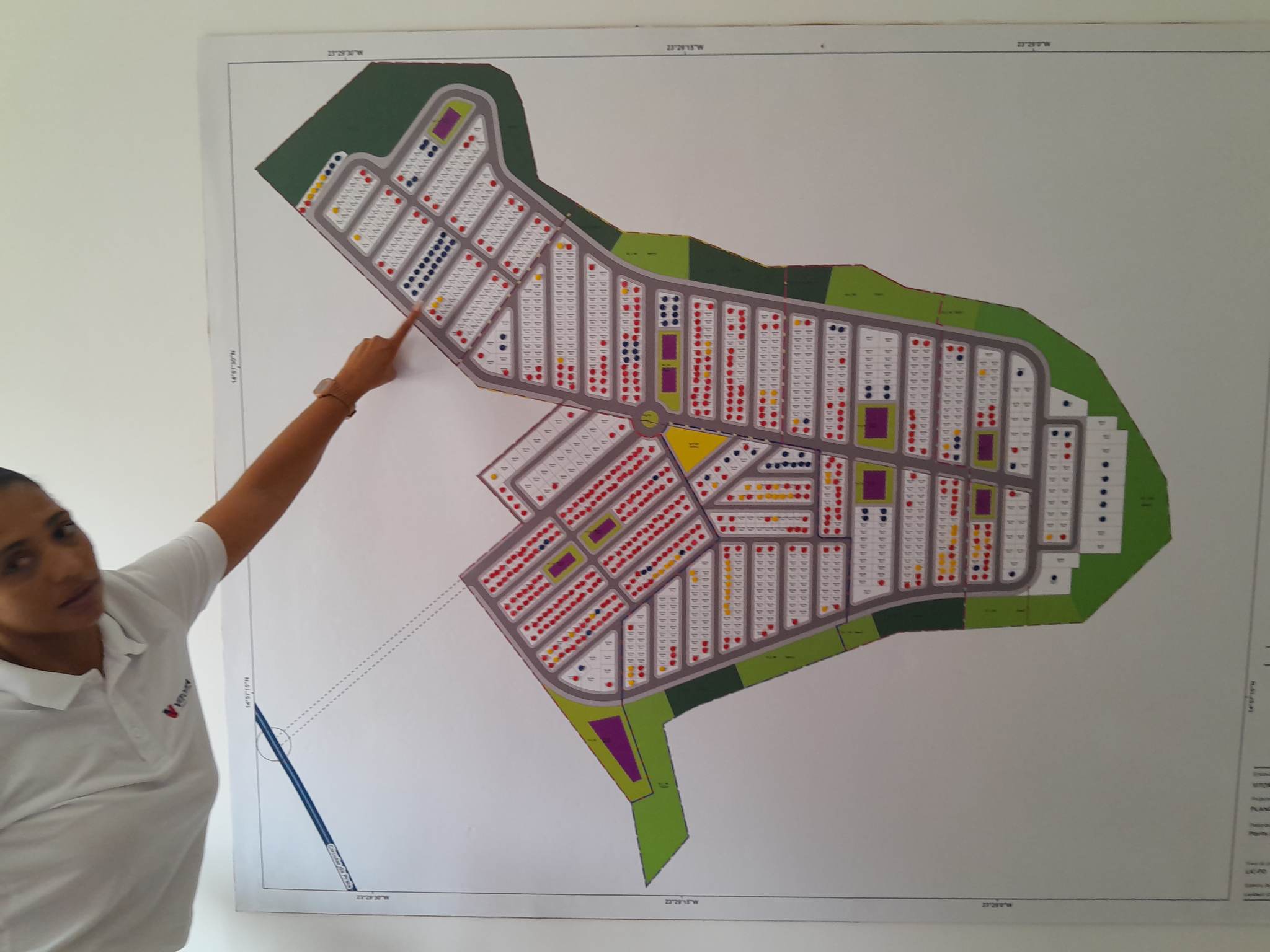 Consultoria Estratégica